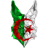 Fennec et drapeau de l'Algérie en polysphère 3