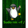 Penguin Linux Sudo