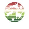 Katzen Katze