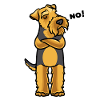 Sturer Welsh Terrier Chien