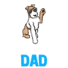 Foxterrier Drahthaar | Foxterrier