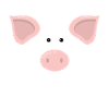 Pig Face Costume Gift