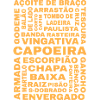 Capoeira Guide