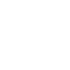 Stuntscooter Scooter Tretroller