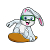 Rabbit Snowboarder Snowboard