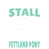 Shetland Pony Shetty