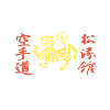Karate Tiger T Shirt
