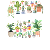 Potted Plant Pot Head
