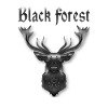 Schwarzwald Hirsch Wildtier