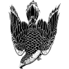 Falke
