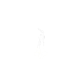Löwe floral weiß