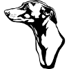 greyhound BACKGROUND