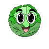 Sweet cabbage