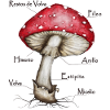 Mushroom - Fly agaric