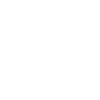 Scout / Scouting