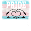 Transgender Pride