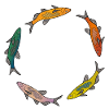 Fische bunt