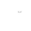 Cat ECG Heartbeat Heartbeat Cat
