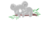 Koala Koalabär
