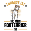Foxterrier