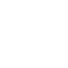 Professional Figure Skater