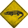Crocodile