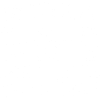 Epagneul Breton