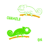 Chamäleon Chameleoff