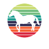 Cheval Cheval Équestre Equitation