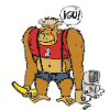 Gorilla