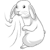 Hasen