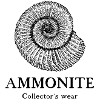 Ammonit Fossil Collectionneur Géologie Paléontologie