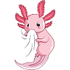 Axolotl