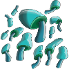 Fungi