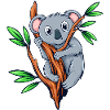 Koala Bear Koala Bamboo