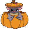 Bat in pumpkin