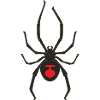 Black widow