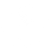Symbole du cheval Pégase blanc