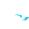 Diving Evolution Divers
