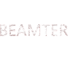 Beamter auf Lebenszeit