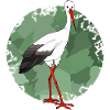 Cigogne