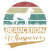 Beauceron Whisperer