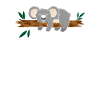 Koala Koalabär