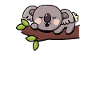 Koala Koalabär