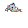 Koala Koalabär