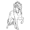 Iceland stallion sw