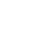 Spine King Chiropractor Chiropractic