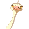 Bird Ostrich Funny (b)