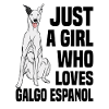 Galgo Espanol