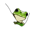 Green Frog – Cute Illustration